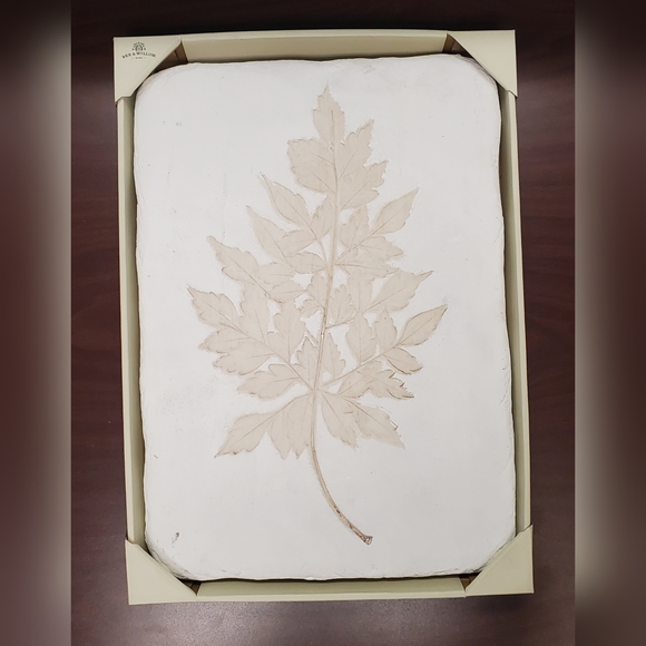 Bee & Willow Large Resin Panel Wild Fern Wall Plaque in White - Picture 3 of 5